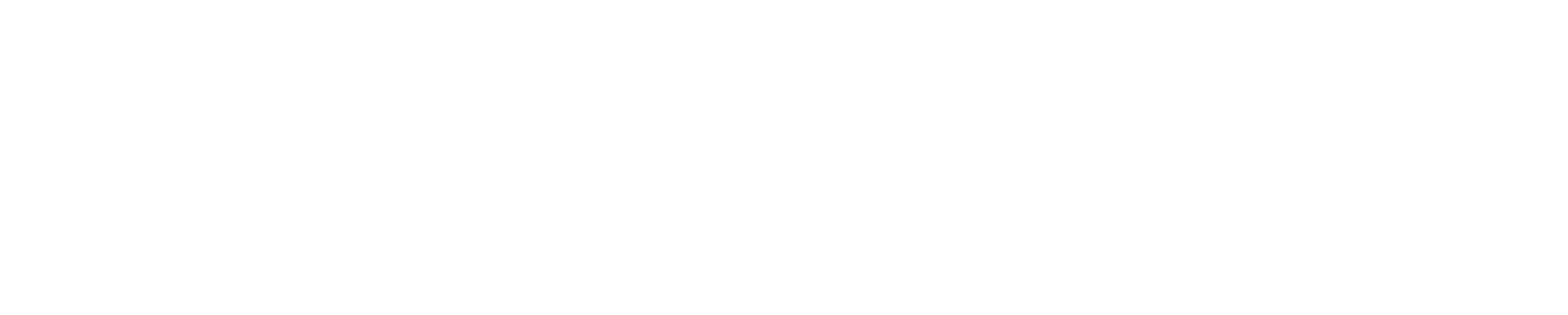 NEMETRA